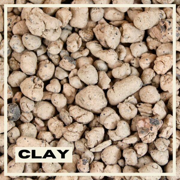 Expanded Clay Hydroponic Growing Medium | PlantNest