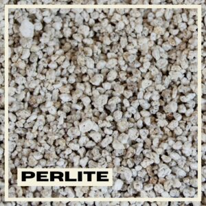 PlantNest premium soil mix - perlite