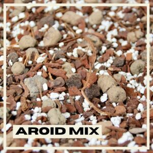 PlantNest premium soil aroid mix