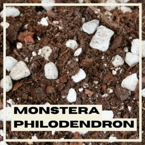 PlantNest premium soil mix - monstera & philodendron