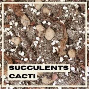 PlantNest premium soil mix - cacti & succulent