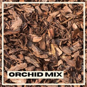 PlantNest Orchid mix