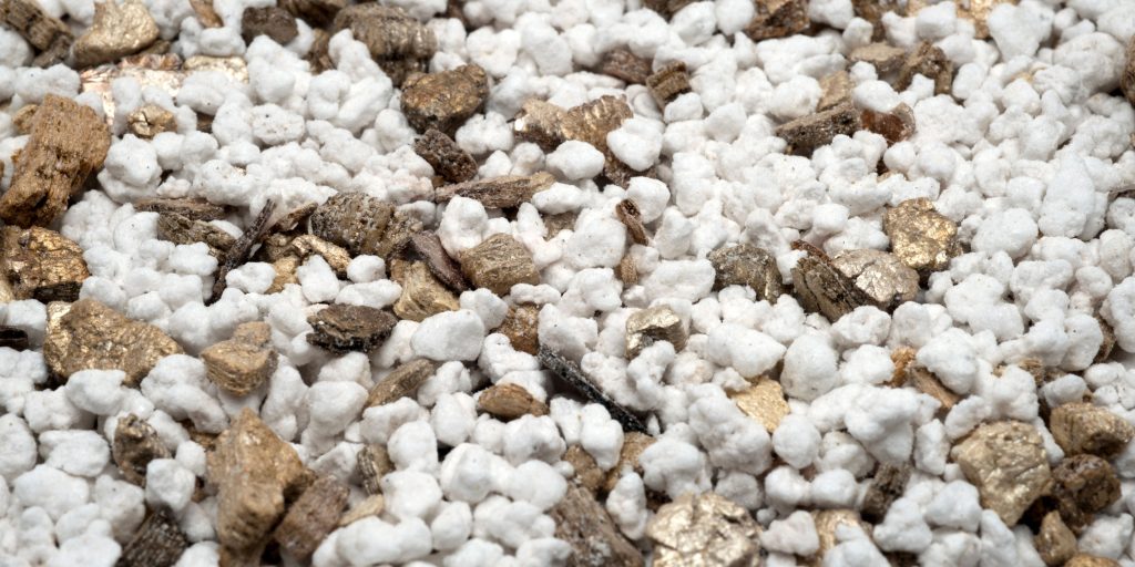 perlite-for-houseplants-plantnest