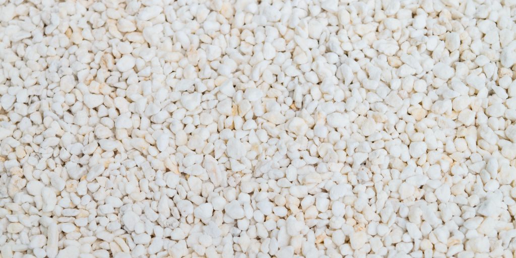 perlite-for-houseplants-plantnest