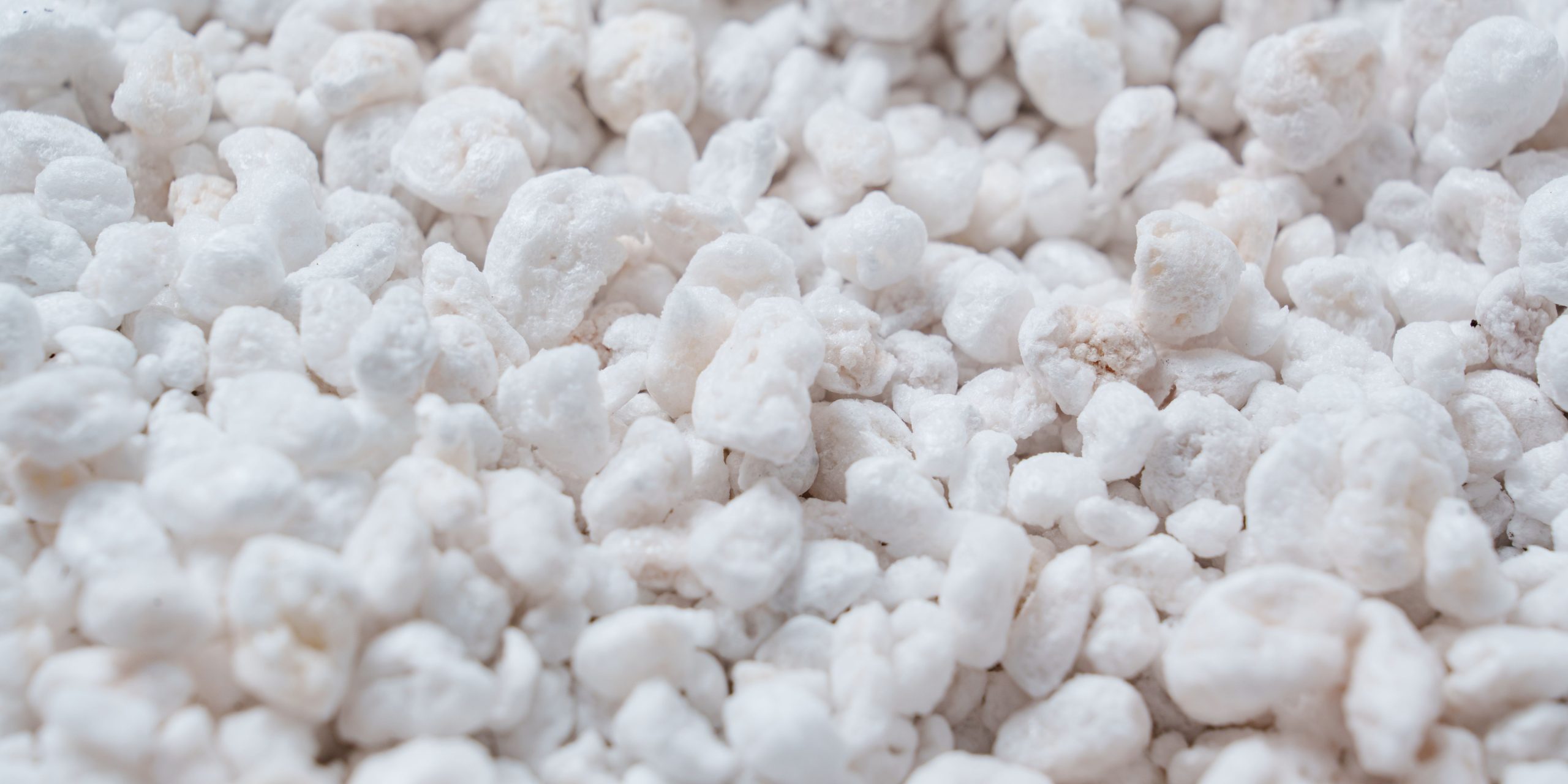 perlite-for-houseplants-plantnest