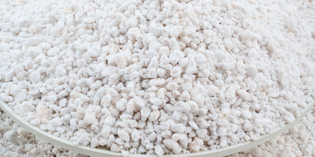 perlite-for-houseplants-plantnest
