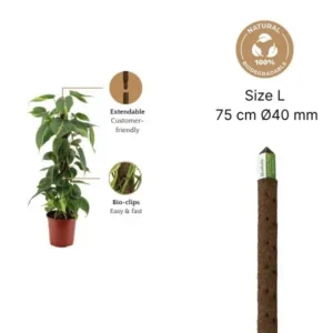 kratiste-climbing-pole-plantnest