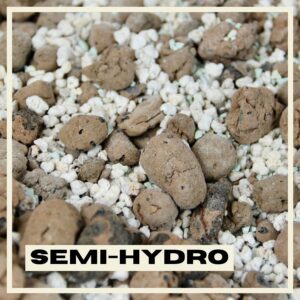 PlantNest-semi-hydro-soil-plants