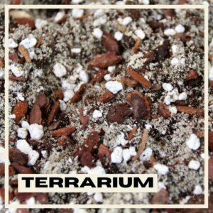 PlantNest-terrarium-soil-mix-plants
